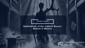 Constitution, Mexico, Judicial Reform, Judges, Public Elections, Business Environment